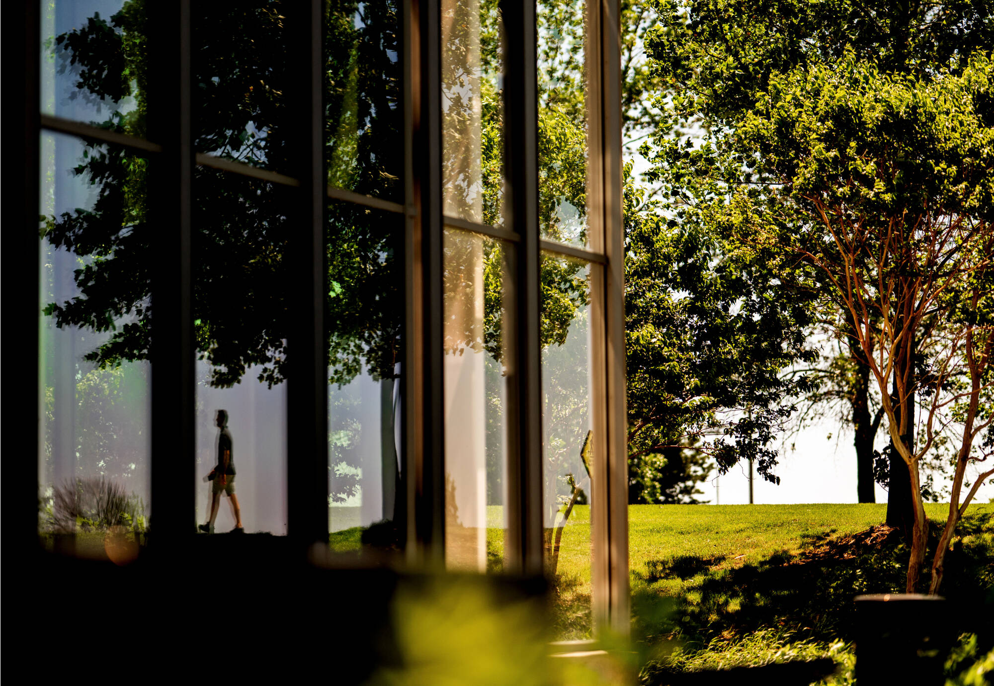 A walking person's reflection is shown in the windows of the library on a summer day.